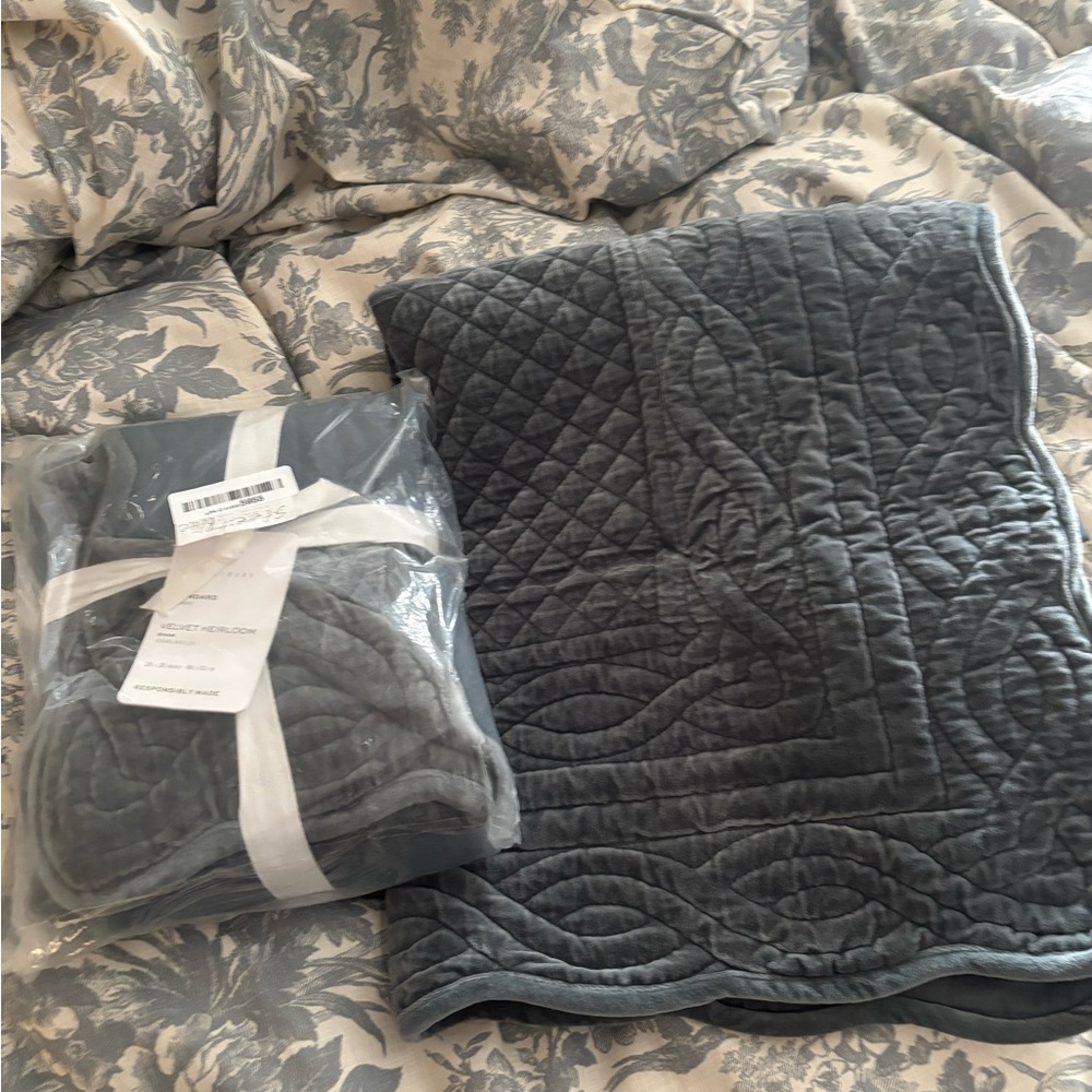 Pottery Barn Steel Blue Velvet Pillow Shams - 2